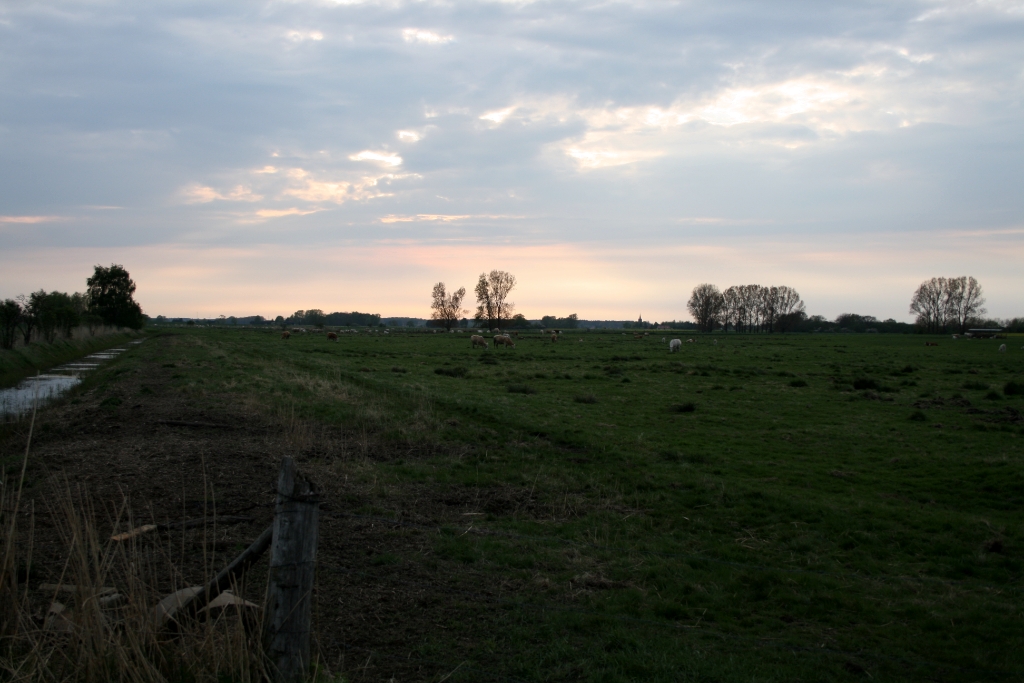 VWG vogelreis Oost Duitsland mei 2010 278